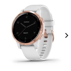 Garmin Vivoactive 4s.